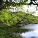 6월의 향기 이미지