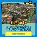 유아동네숲터 | 제주 동쪽 여행 노루생태관찰원 제주공항 근처 가볼만한 곳