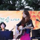 우쿨렐레 이미지