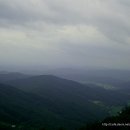 지장사지 이미지