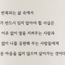 차홍룸 압구정