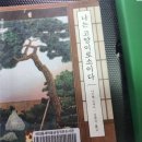 여의동공립작은도서관 네이버블로그