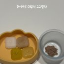 197 | 이유식 기록, 195–197일차 | 양배추 후기 (이유식 22-24일차)