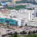 메디브릿지 네이버블로그