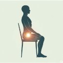센돔 10mg 복용법 가격 그리고 찾은 대안책