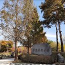 중앙공원 주차장정문 이미지