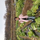 정후농장 이미지