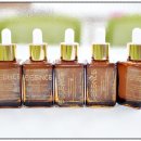 특수지원센터 | 대전 출강 특수교육지원센터 학부모연수 천연화장품 갈색병 에센스 만들기 (기관출강)