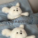 샨띠 네이버블로그