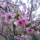 정발산경희한의원 이미지