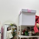 빛(꽃)의정원 | 안양셀프사진관 찾는다면? 정원 셀프사진관 안양 범계점 방문 후기 📸