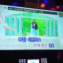 세븐스타코인노래연습장배곧신도시 네이버블로그