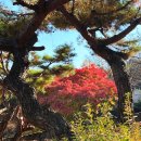 경북과학대학교박물관 이미지