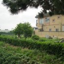 들꽃이 있는집 이미지