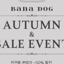 바나개 강아지 고양이 마포점 이미지