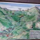 산철죽 군락지 이미지