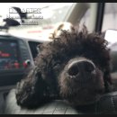 GS25 천안시민점 이미지