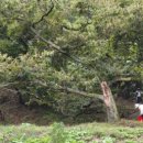 김옥순 농장 이미지