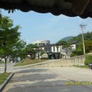 5년만의 청량산과 청량사의 구석구석(금강대,굴포함) (14.07.30)...(A)