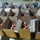 서홍농장 이미지