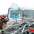 월호농장 이미지