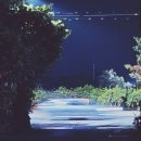 소롱코지