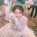 윶 이미지
