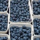 청안농장 이미지