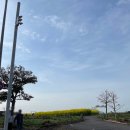 대경건강원 - 양구군 사명길 60 | 제주 신화월드 일기 #4. 지금부터 제주도민이라 불러주세요.