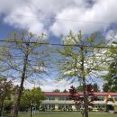 호아네김밥만두 이미지