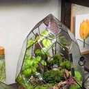 모스가든 | 마곡원데이클래스 시크릿모스가든 테라리움 솔직후기