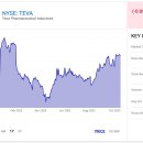 (주)대신메디케어 | Nvidia,Palantir Technologies,Teva Pharmaceuticals
