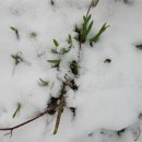 푸른소아청소년과의원 이미지