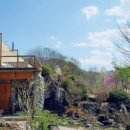 러스틱문 이미지