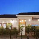 제주키즈풀빌라 나무와 아이 이미지