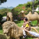 온양새싹유치원 이미지