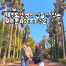 신비한바닷길해산물 | 제주도 서쪽 여행 인생샷 찍으러 가볼만한곳 추천 BEST3 방문후기