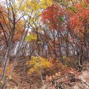 숯방마을 이미지