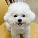 베이시티 동물병원 이미지