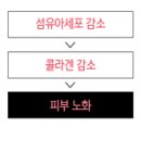 라벨의원 네이버블로그