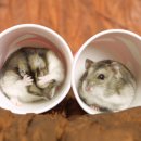 영민플라스틱 이미지