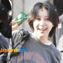 하니네 이미지