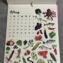 감성일러스트 | 집 분위기 살려주는 2026년 제철 음식 달력, 감성 일러스트 캘린더 후기