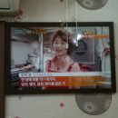 국보장 Daum카페
