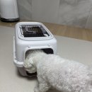 현대애견사료 | 천안 두정동 애견용품 24시 맛있개냥냥 인터넷 보다 싼 가격에 득템