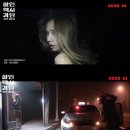 블리트필름