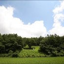 반송 Daum카페