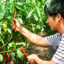 상리영농조합법인 이미지