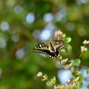 수석행정사사무소 이미지