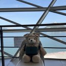 더리터부산 | 해양박물관 근처 식당을 찾는다면 영도면옥, 해양박물관 내에 위치한 뷰맛집 더리터카페 내돈내산 후기